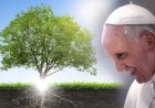 Pesan Paus Fransiskus Untuk Hari Doa Sedunia Bagi Perawatan Ciptaan