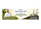 Pesan Paus Leo XIV