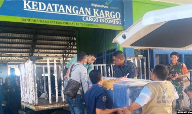 Ratusan Pekerja Migran Ilegal NTT Meninggal pada 2022