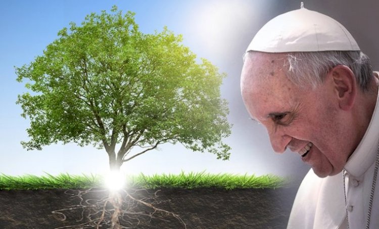 Pesan Paus Fransiskus Untuk Hari Doa Sedunia Bagi Perawatan Ciptaan